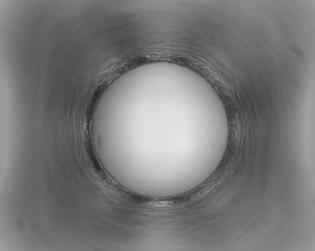 X0000116610711200912111001