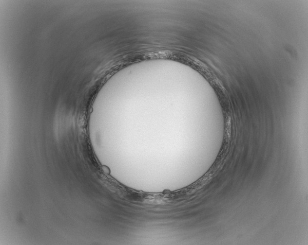 X0000116610714200912111001