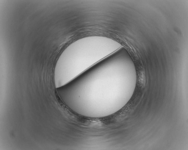 X0000116610715200912111001