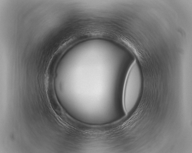X0000116610722200912111000