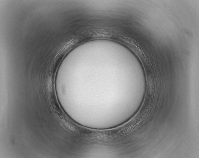 X0000116610729200912111000
