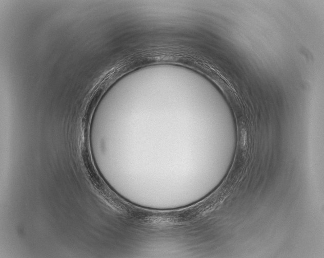 X0000116610733200912111000