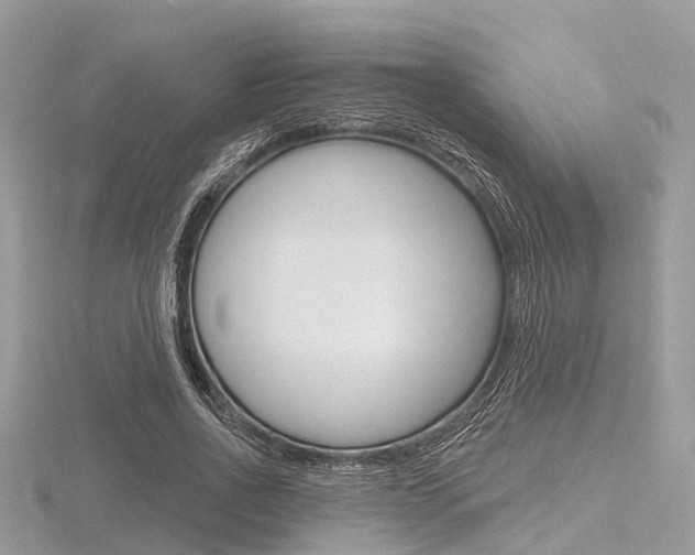 X0000116610734200912111000