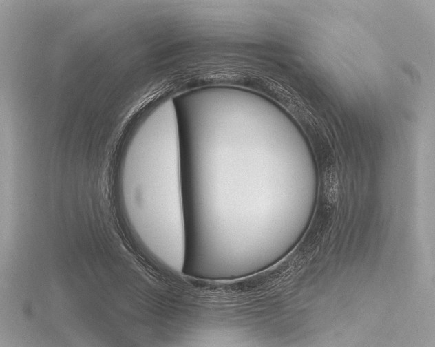 X0000116610735200912111000