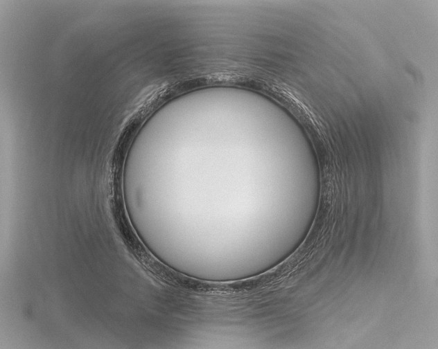 X0000116610738200912111000