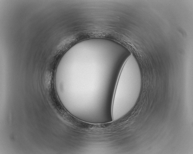 X0000116610742200912111000
