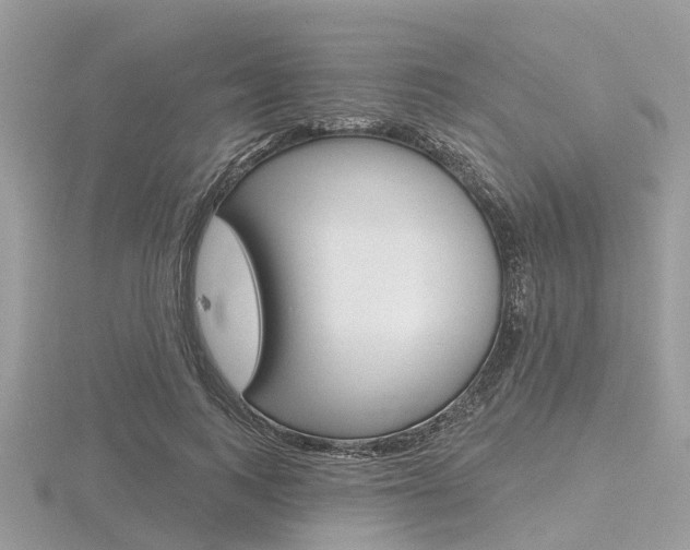 X0000116610743200912111000