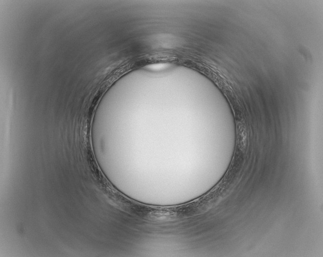 X0000116610745200912111000
