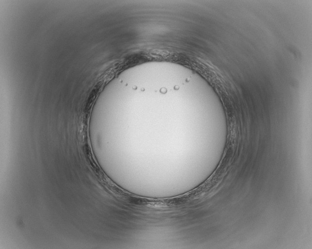 X0000116610749200912111000