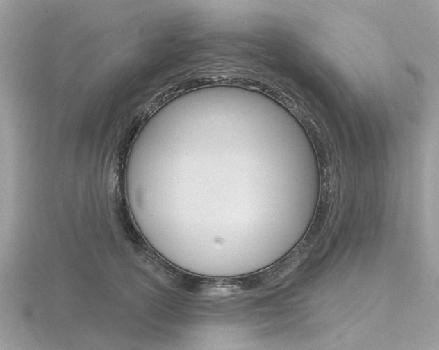 X0000116610754200912111001