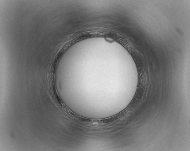 X0000116610755200912111001
