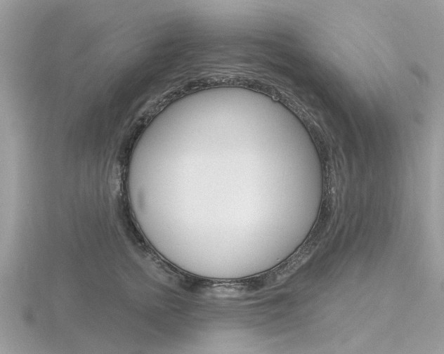 X0000116610758200912111001