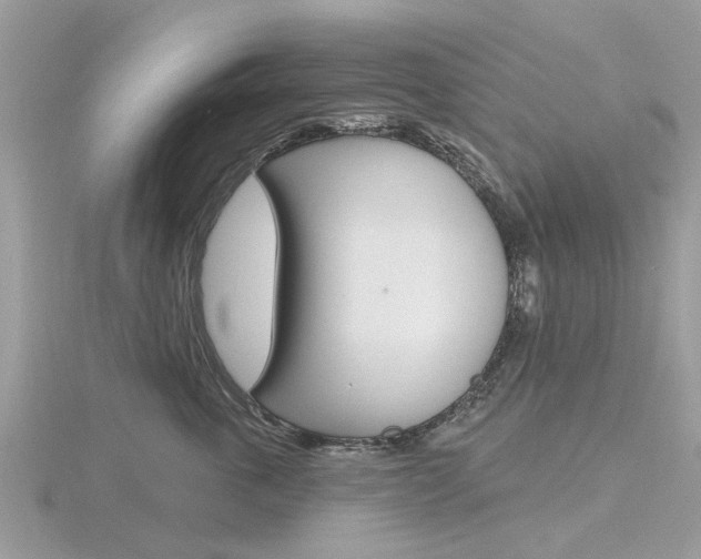 X0000116610763200912111001