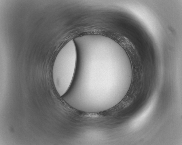 X0000116610767200912111001