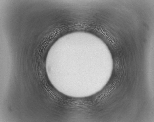 X0000116610769200912111000