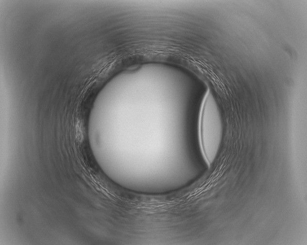 X0000116610772200912111000