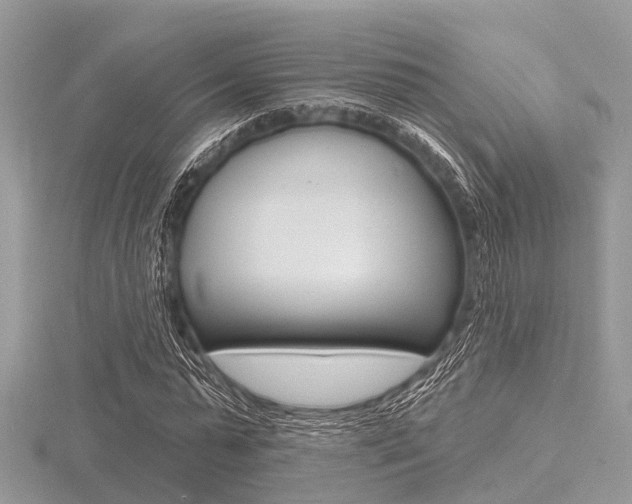 X0000116610775200912111000