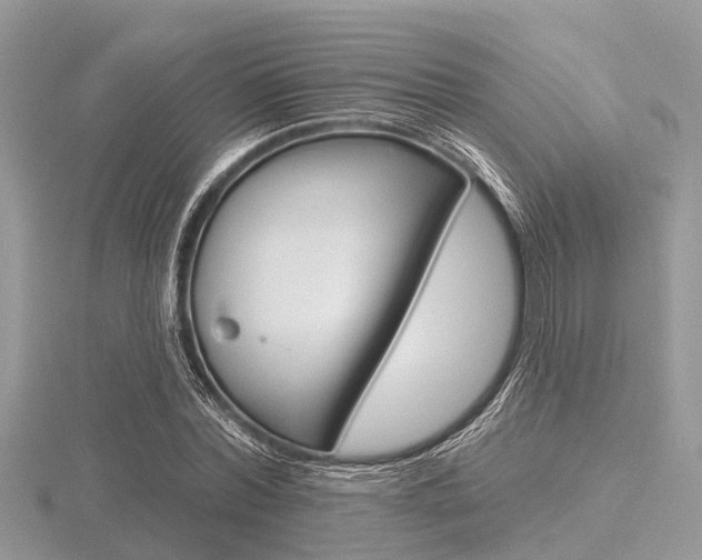 X0000116610780200912111000