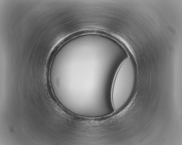 X0000116610783200912111000