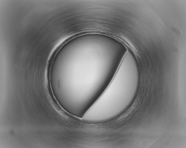 X0000116610788200912111000