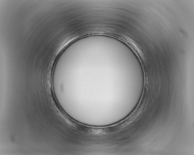 X0000116610794200912111000