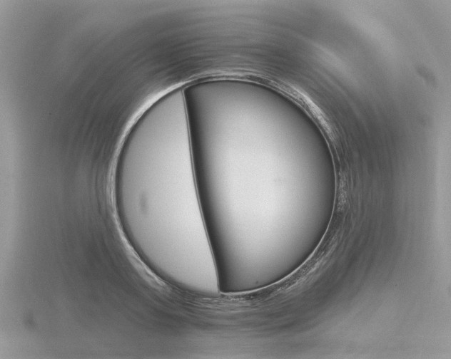 X0000116610795200912111000