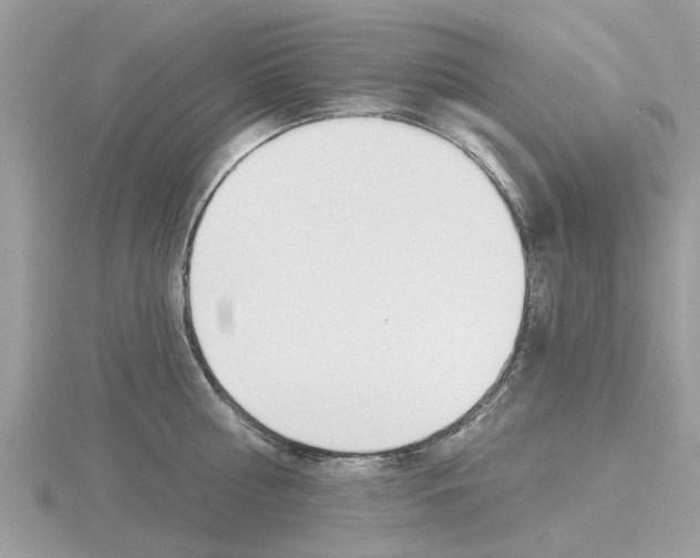 X0000116610810200912111000