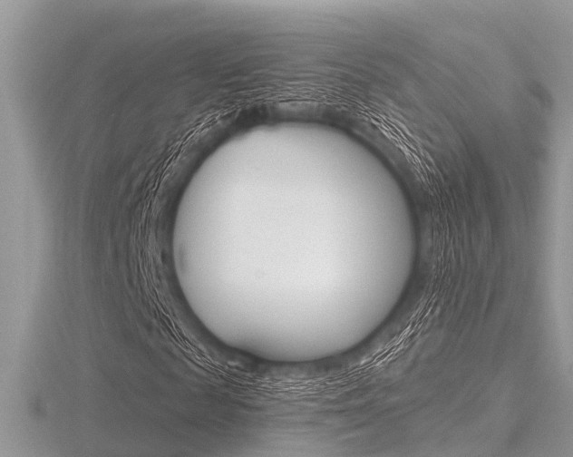 X0000116610817200912110959