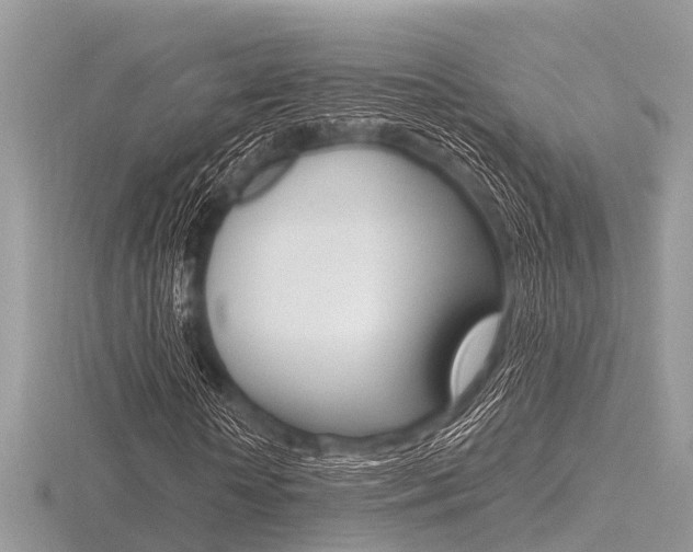 X0000116610818200912110959