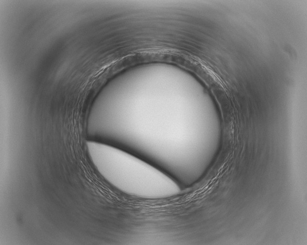 X0000116610821200912110959
