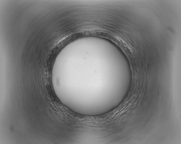 X0000116610822200912110959