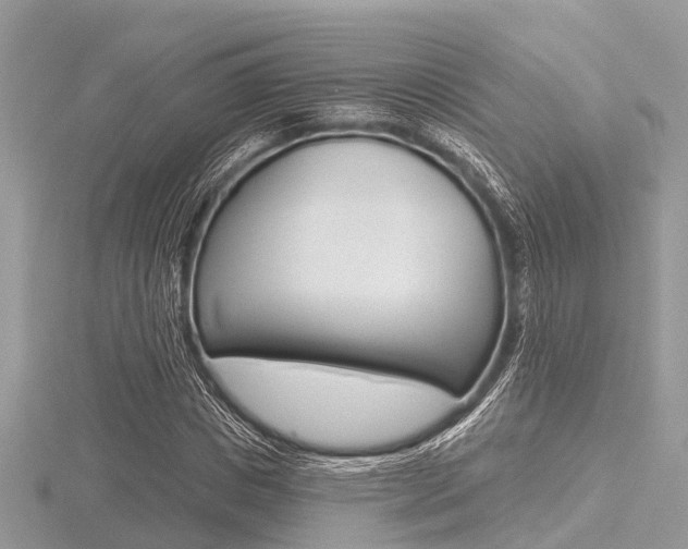 X0000116610825200912110959