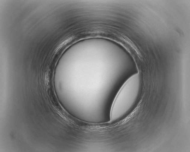 X0000116610826200912110959