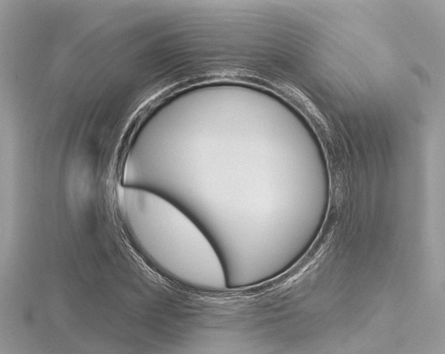X0000116610831200912110959