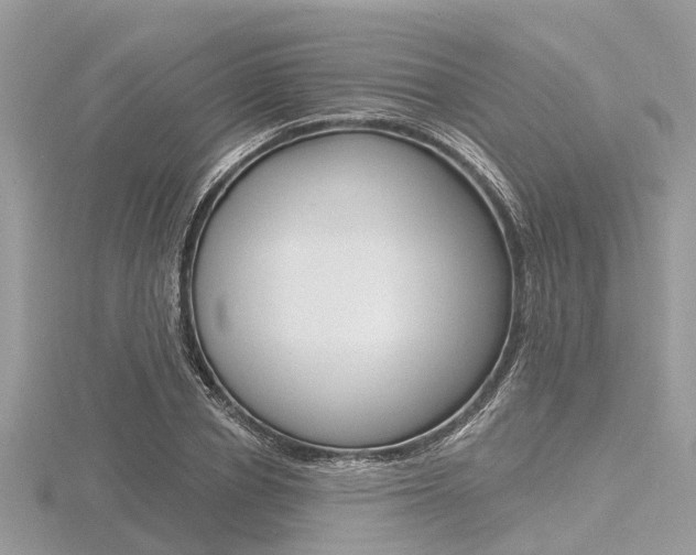 X0000116610834200912110959