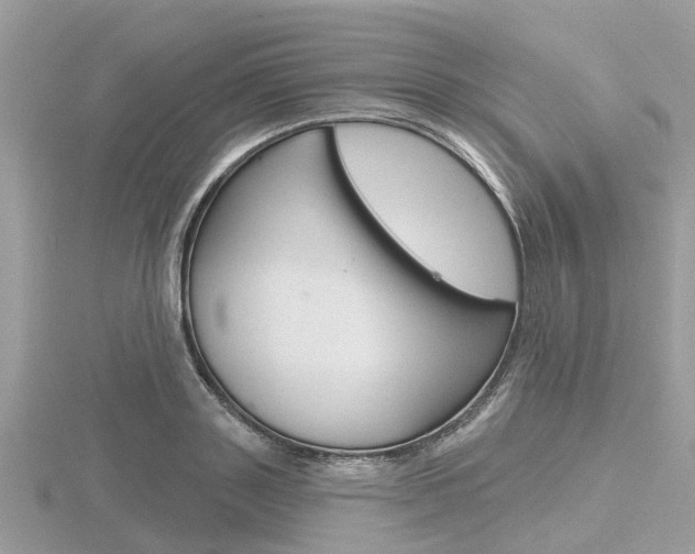 X0000116610843200912110959