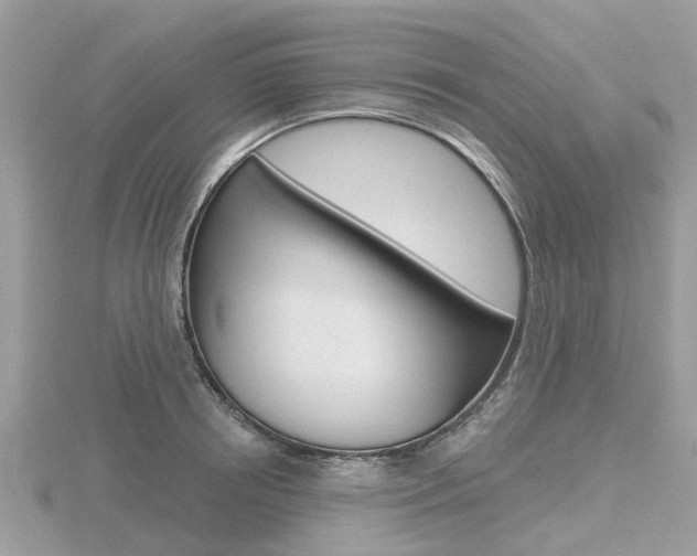 X0000116610850200912110959