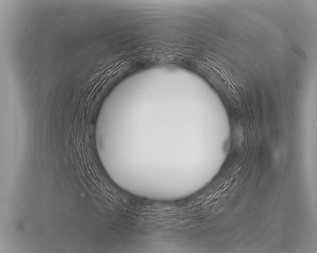 X0000116610865200912110959