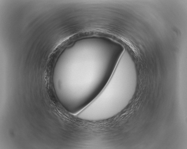 X0000116610872200912110959