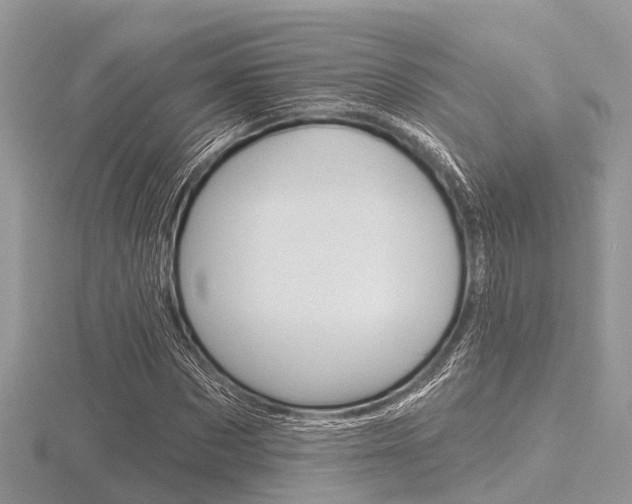 X0000116610873200912110959