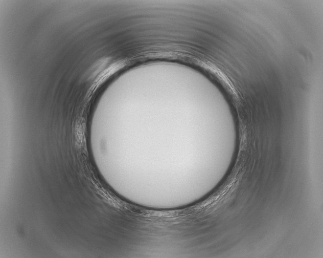 X0000116610874200912110959