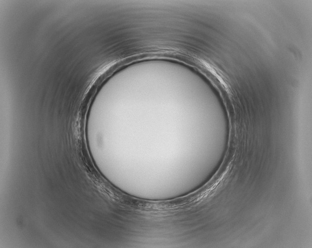 X0000116610875200912110959