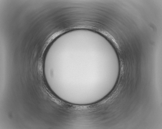 X0000116610882200912110958