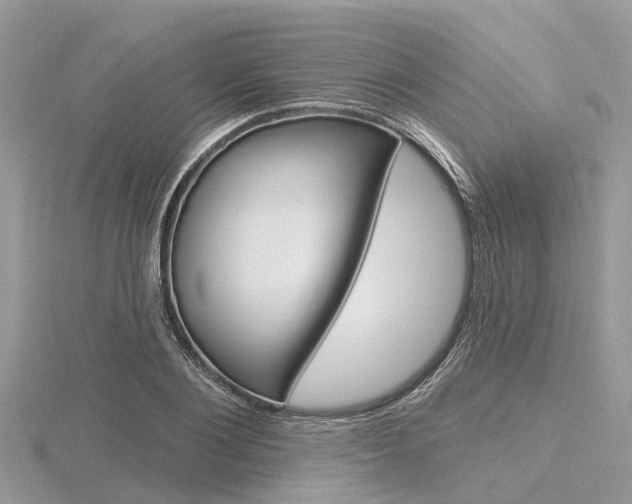 X0000116610884200912110958