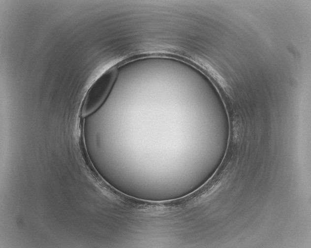 X0000116610885200912110958