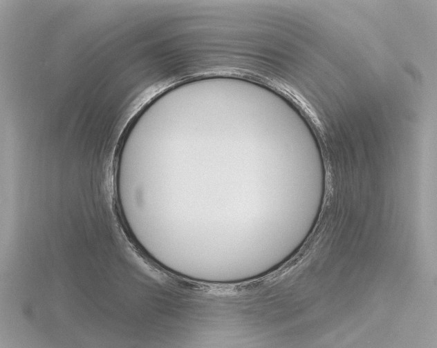 X0000116610890200912110958