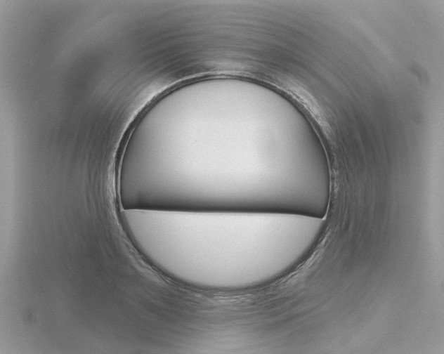 X0000116610891200912110958