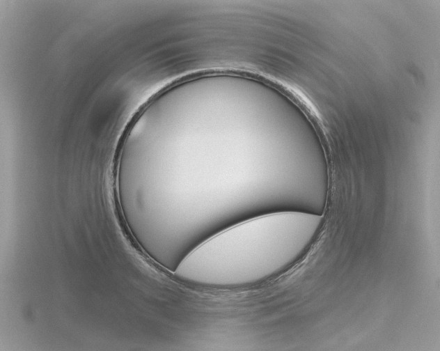X0000116610895200912110958