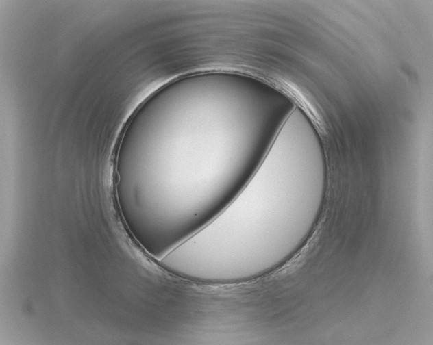 X0000116610900200912110958