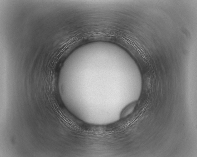 X0000116610914200912110957